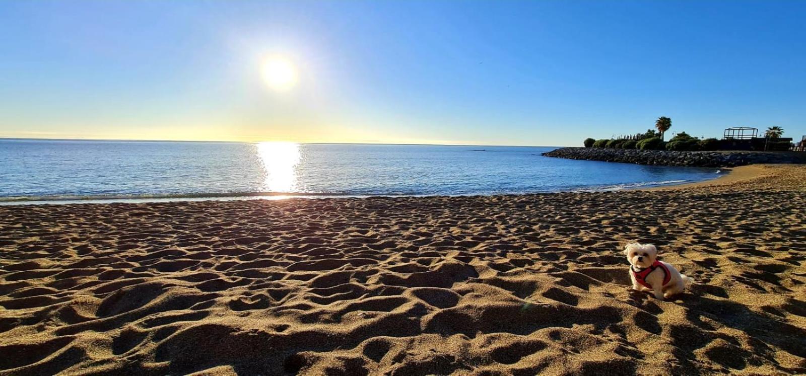 Apartamentos Magic Benalbeach By Benalnova Benalmádena Zewnętrze zdjęcie